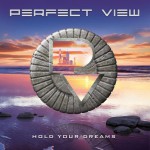 Purchase Perfect View MP3