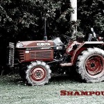 Purchase Shampouing MP3