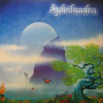 Purchase Aphelandra MP3