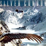 Purchase Silver Condor MP3