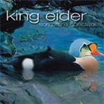 Purchase King Eider MP3