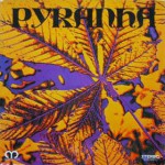 Purchase Pyranha MP3