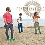 Purchase Pomegranate Tiger MP3