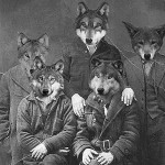 Purchase The Republic Of Wolves MP3