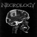 Purchase Necrology MP3