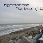 Purchase Tigerforest MP3