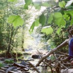 Purchase bEEdEEgEE MP3