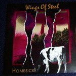 Purchase Wings Of Steel MP3
