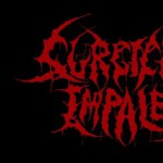 Purchase Surgically Impaled MP3