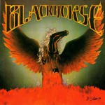 Purchase Blackhorse MP3