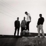 Purchase Startled Calf MP3