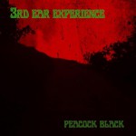 Purchase 3Rd Ear Experience MP3