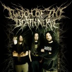 Purchase Twitch Of The Death Nerve MP3