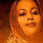 Purchase Noura Mint Seymali MP3