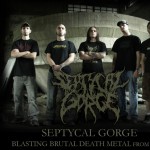 Purchase Septycal Gorge MP3