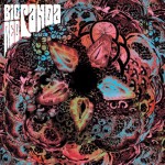 Purchase Big Red Panda MP3