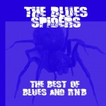 Purchase The Blues Spiders MP3