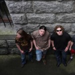 Purchase Mandrake Root MP3