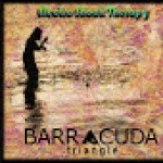 Purchase Barracuda Triangle MP3