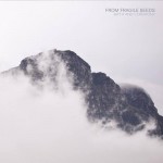 Purchase From Fragile Seeds MP3