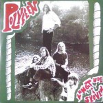 Purchase Polyfeen MP3