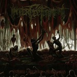 Purchase Interfectorment MP3