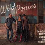 Purchase Wild Ponies MP3