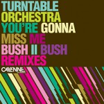 Purchase Turntable Orchestra MP3