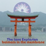 Purchase The Love Explosion MP3