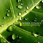 Purchase Herbal Essence MP3