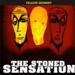 Purchase The Stoned Sensation MP3
