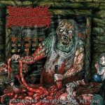 Purchase Psychotic Homicidal Dismemberment MP3