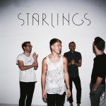 Purchase Starlings MP3