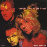 Purchase The Darling Buds MP3