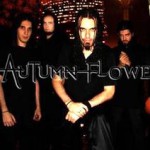 Purchase Autumn Flowers MP3