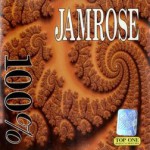 Purchase Jamrose MP3