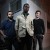 Purchase Animals As Leaders