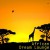 Purchase African Tribal Orchestra