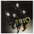 Purchase Trio Rio