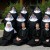 Purchase Benedictines Of Mary Queen Of Apostles