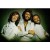 Purchase Bee Gees