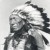 Purchase Black Elk