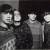 Purchase Inspiral Carpets